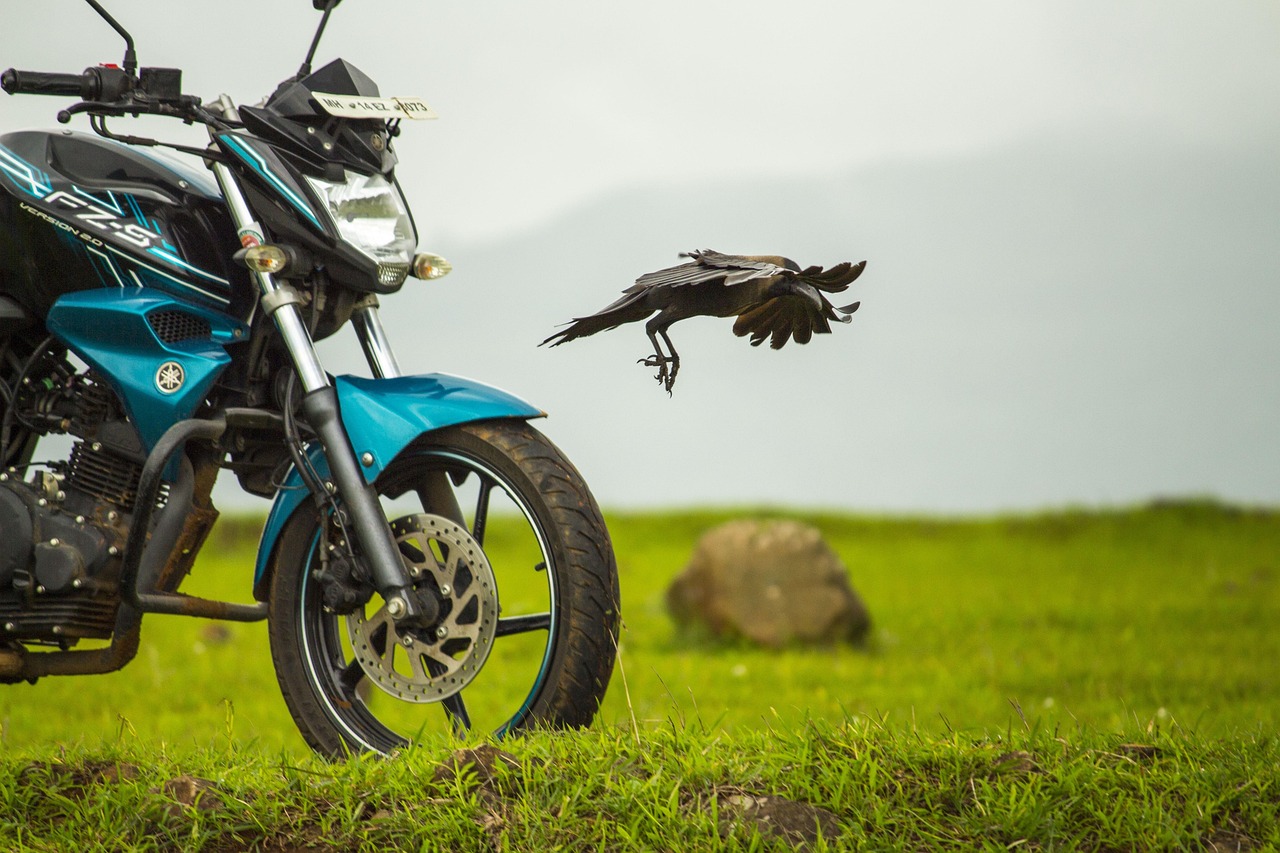 A Yamaha Bicycle for Every Rider: Exploring the Full Range